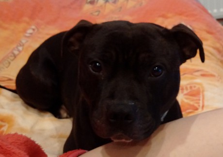 IMG_20150408_082125_edit